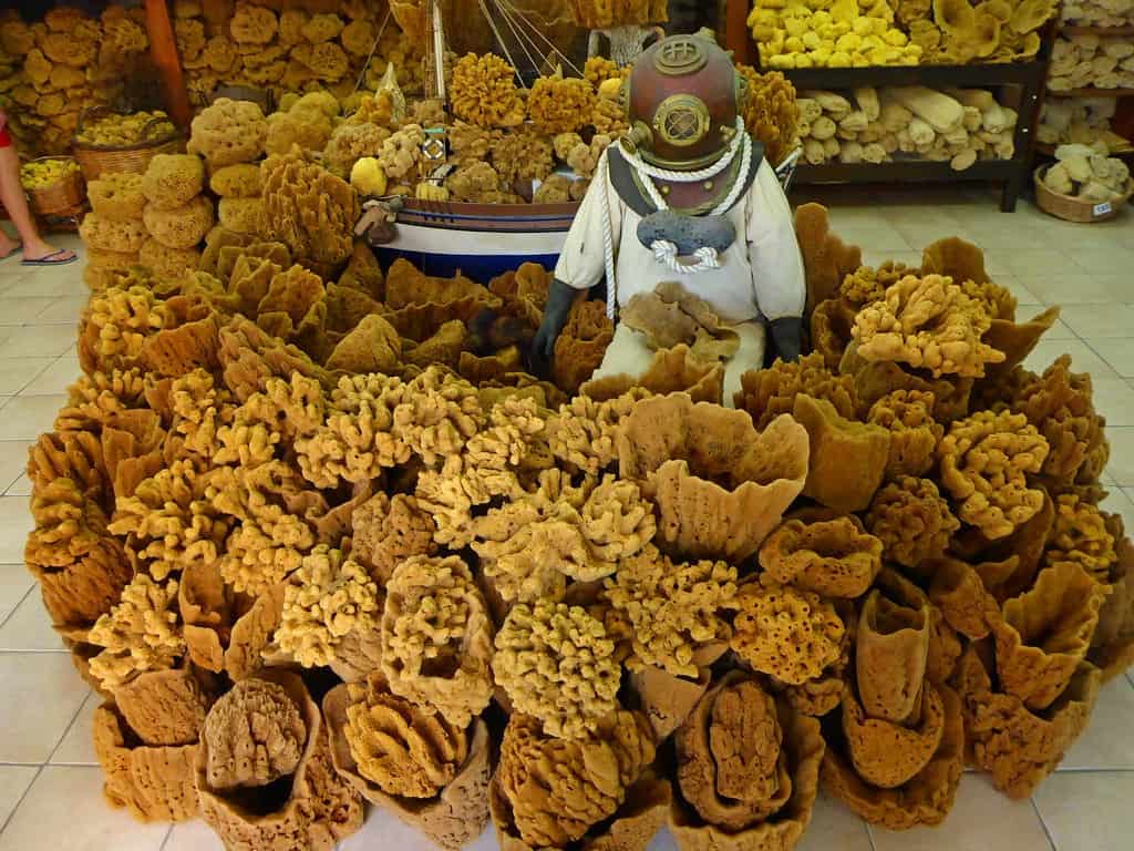 Kalimnos ve Süngercilik