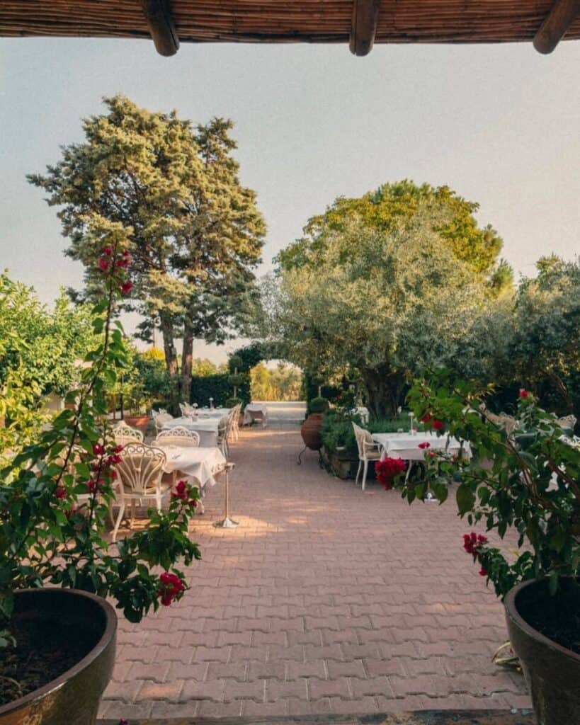 Yüksek Bütçeli Mekanlar (Balık – Şef Restoranı – Şarap), Urla'da