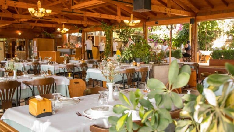 Yüksek Bütçeli Mekanlar (Balık – Şef Restoranı – Şarap), Urla'da