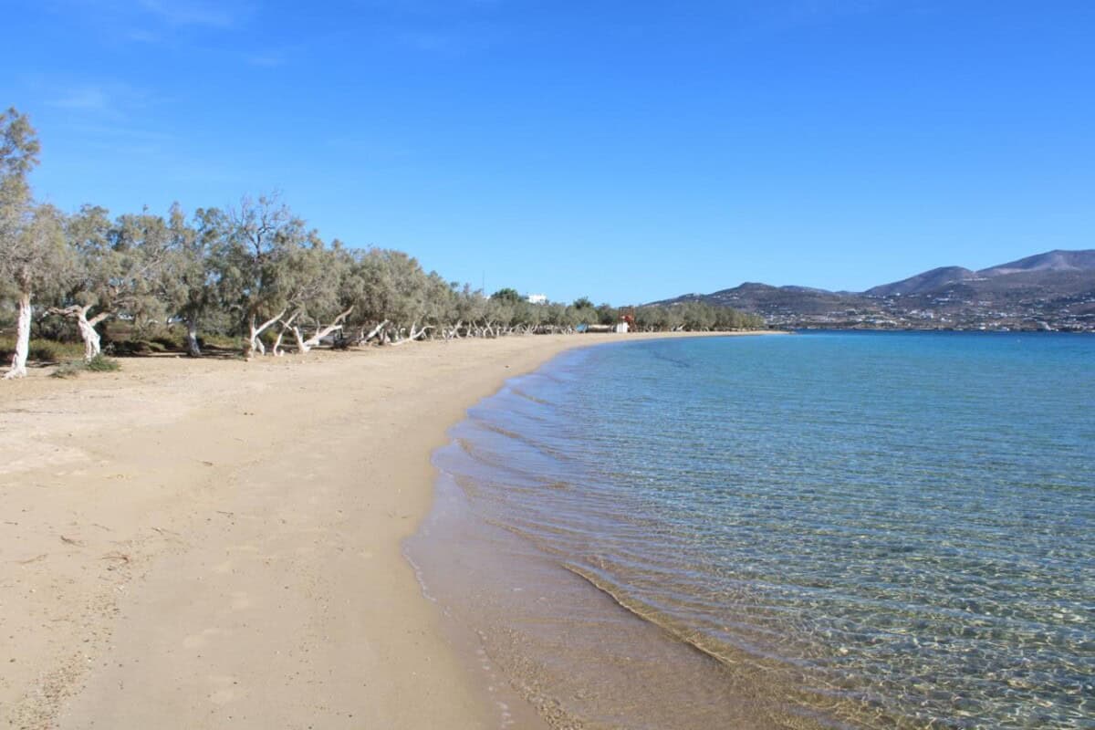 Antiparos'un En Güzel Plajları