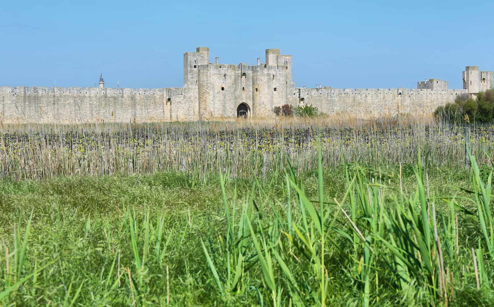 Aigues-Mortes surları